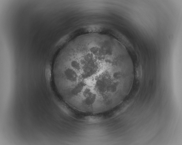 X0000112020733200908101401