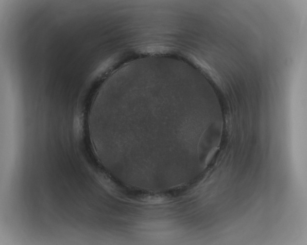 X0000112020735200908101401