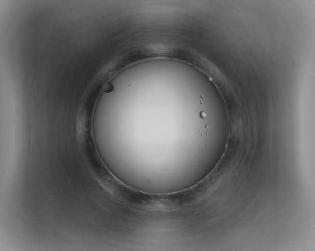 X0000112020736200908101401