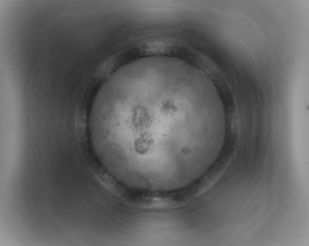 X0000112020737200908101401