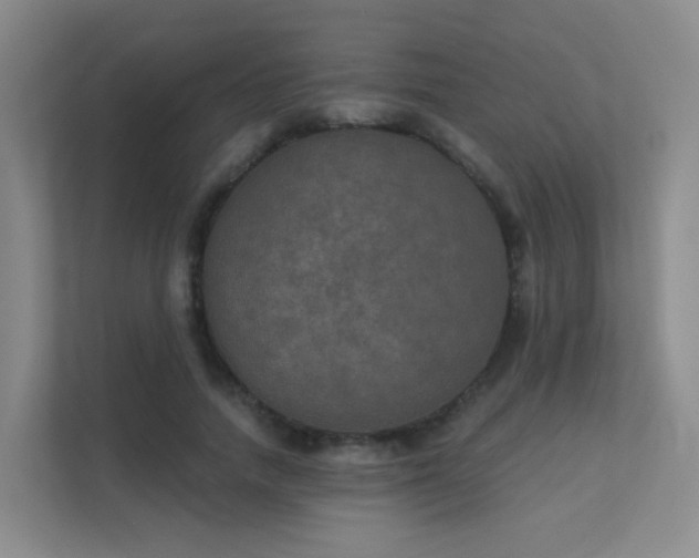 X0000112020738200908101401