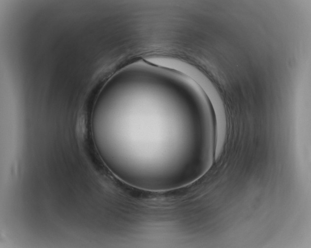 X0000112020740200908101402