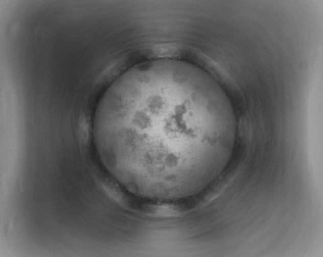 X0000112020741200908101402