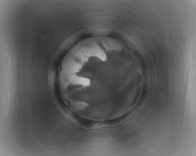 X0000112020742200908101402