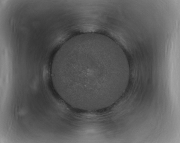 X0000112020743200908101402