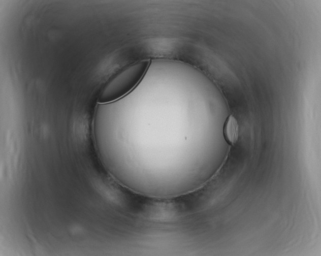 X0000112020744200908101402