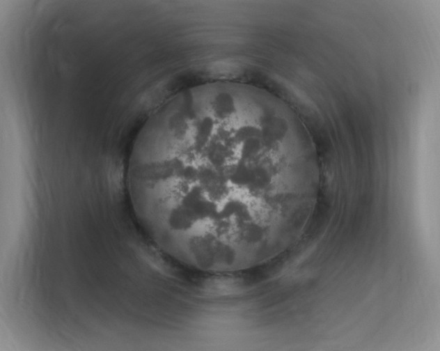 X0000112020745200908101402