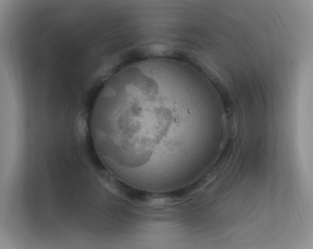 X0000112020746200908101402