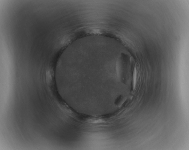 X0000112020747200908101402