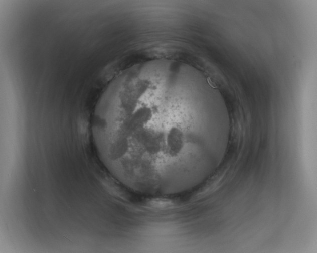 X0000112020749200908101402