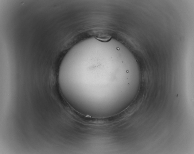 X0000112020751200908101402