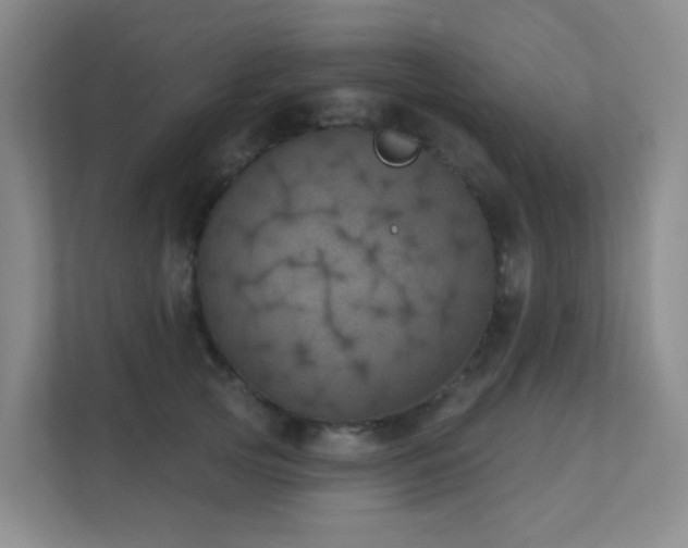 X0000112020753200908101402