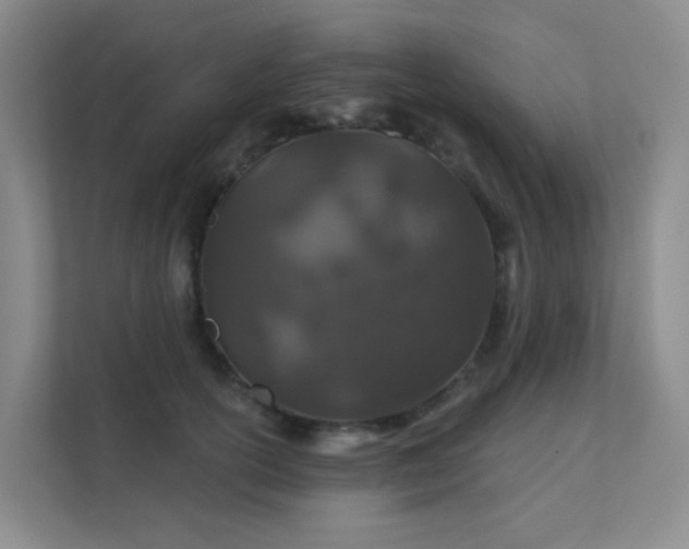 X0000112020754200908101402