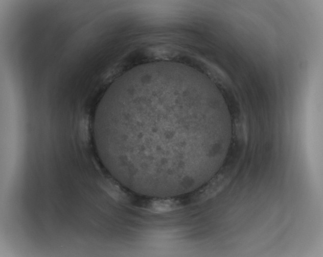 X0000112020757200908101402