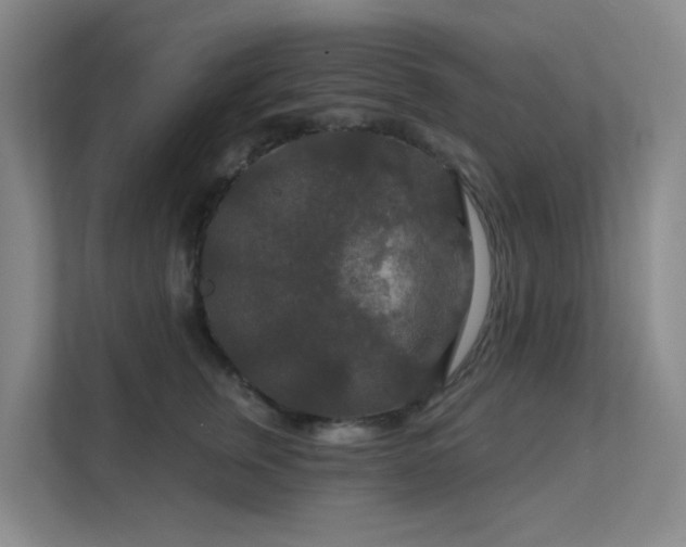 X0000112020759200908101402