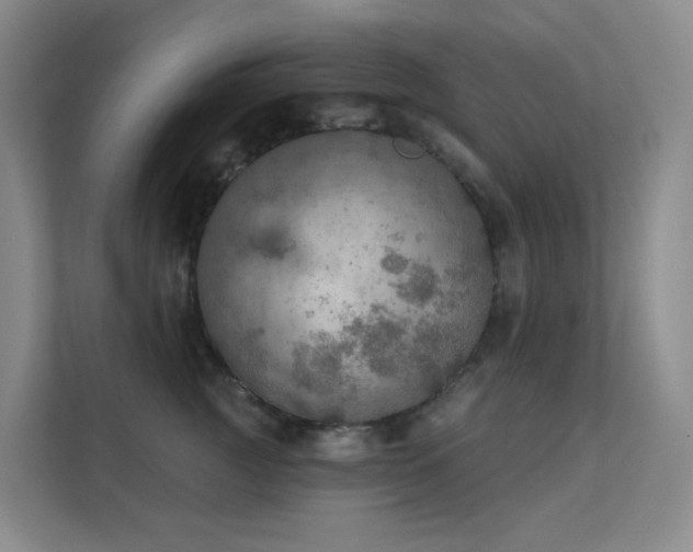 X0000112020761200908101402