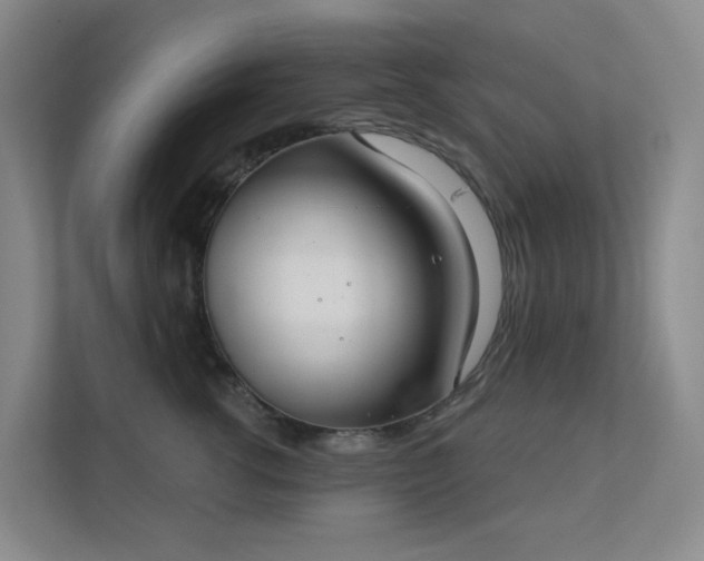 X0000112020762200908101402