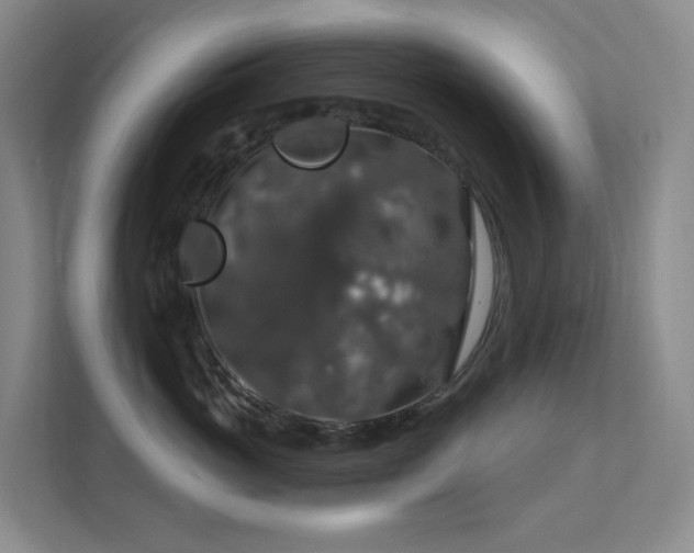 X0000112020765200908101402