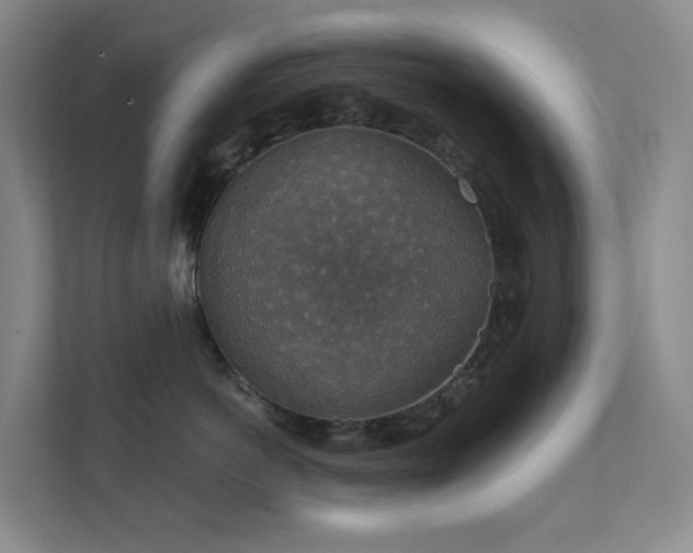 X0000112020766200908101402