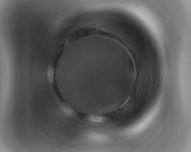 X0000112020767200908101402