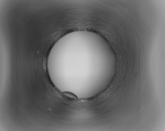 X0000112020768200908101402