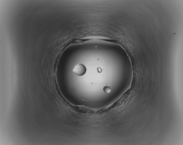 X0000112020769200908101401