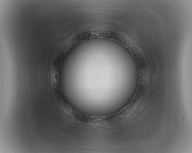 X0000112020770200908101401