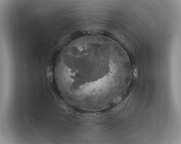 X0000112020771200908101401