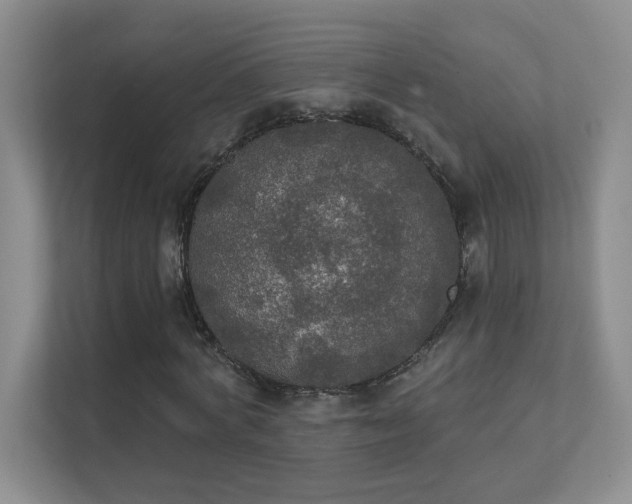 X0000112020772200908101401