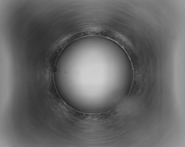 X0000112020773200908101401