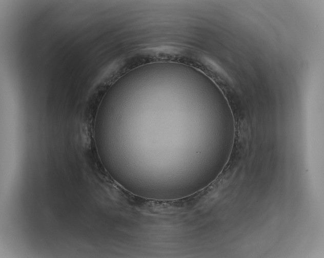 X0000112020774200908101401