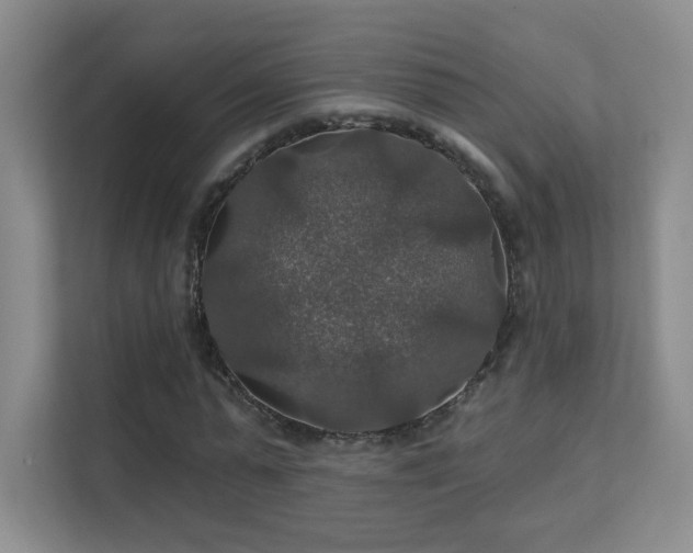 X0000112020775200908101401