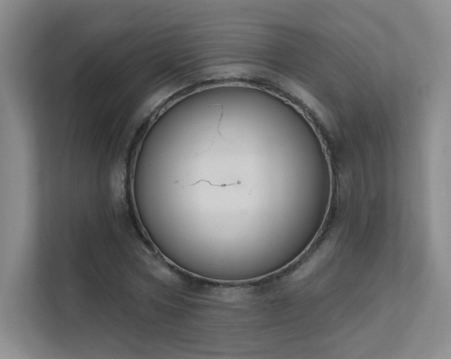 X0000112020778200908101401