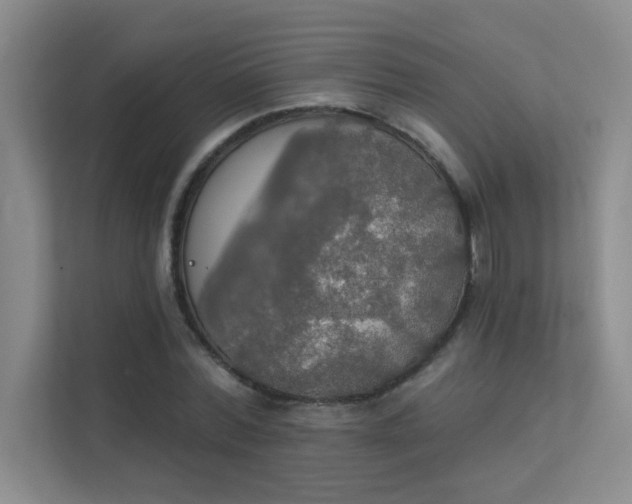 X0000112020780200908101401