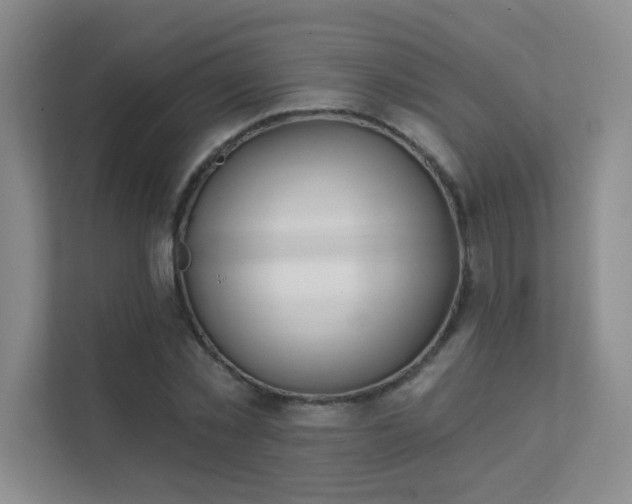 X0000112020781200908101401