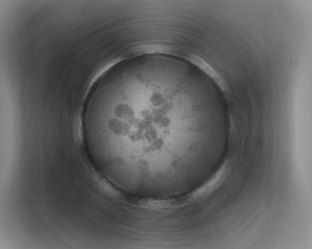 X0000112020782200908101401