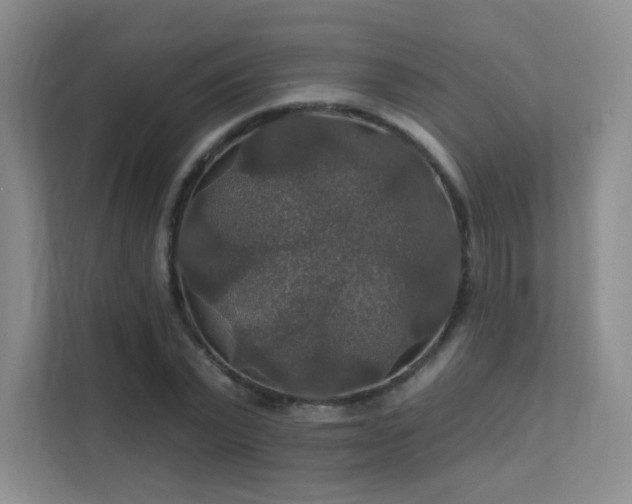 X0000112020783200908101401