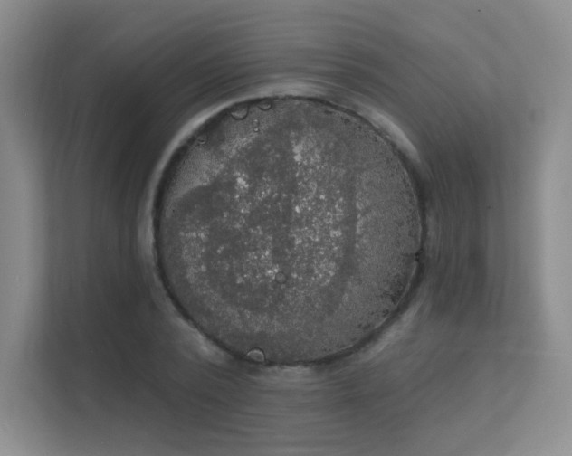 X0000112020784200908101401