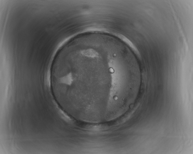 X0000112020791200908101401