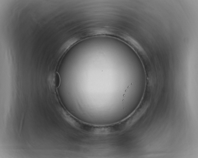 X0000112020793200908101401