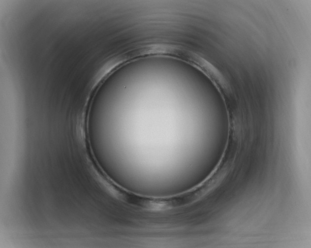 X0000112020794200908101401