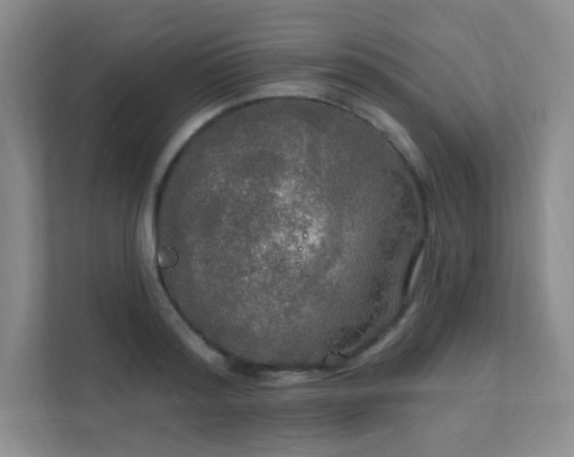 X0000112020796200908101401