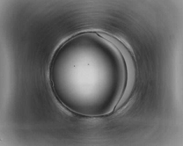 X0000112020797200908101401