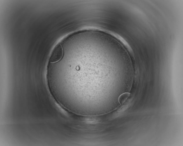 X0000112020799200908101401