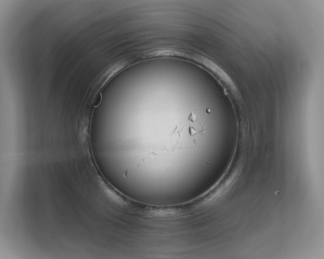 X0000112020801200908101401