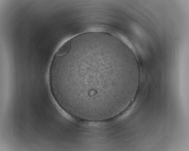 X0000112020803200908101401