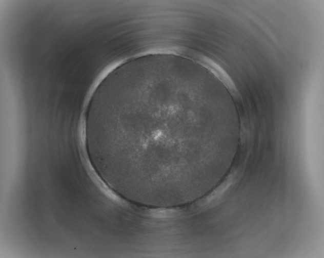 X0000112020804200908101401