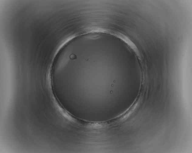 X0000112020806200908101401