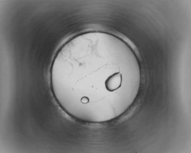 X0000112020807200908101401