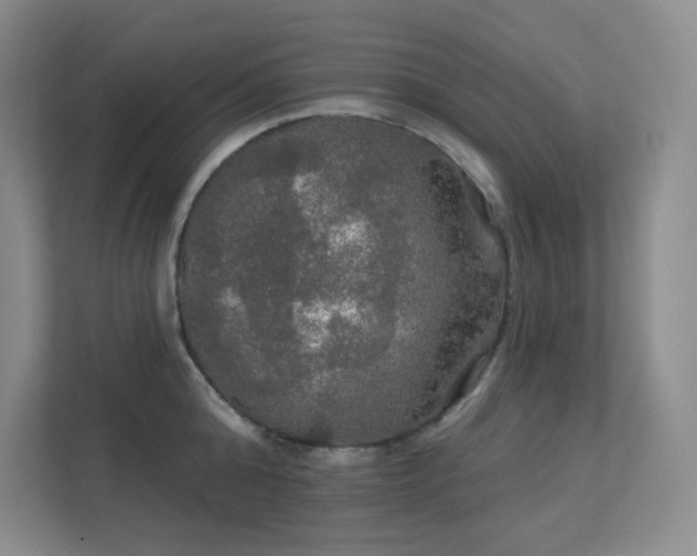 X0000112020808200908101401